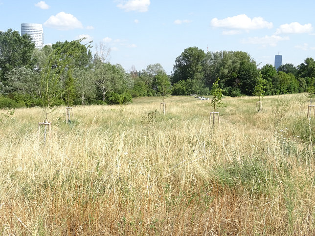 Phnolgischer Garten Nord