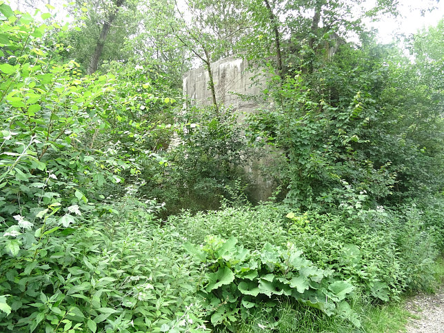 Salzgitter-Bunker, Panozzalacke