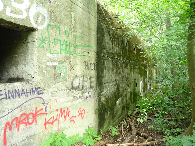 Salzgitter-Bunker, Panozzalacke