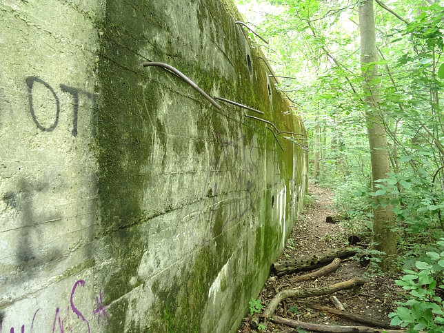 Salzgitter-Bunker, Panozzalacke