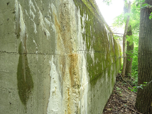 Salzgitter-Bunker, Panozzalacke