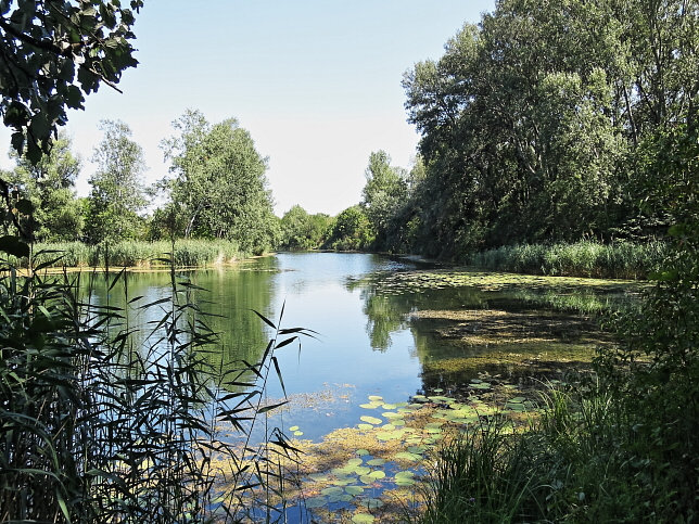 Schillerwasser