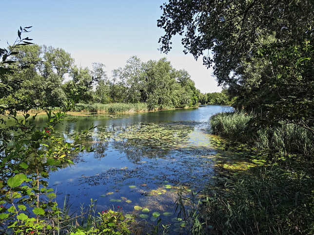 Schillerwasser
