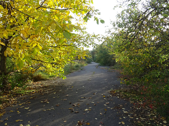 Schukowitzgasse