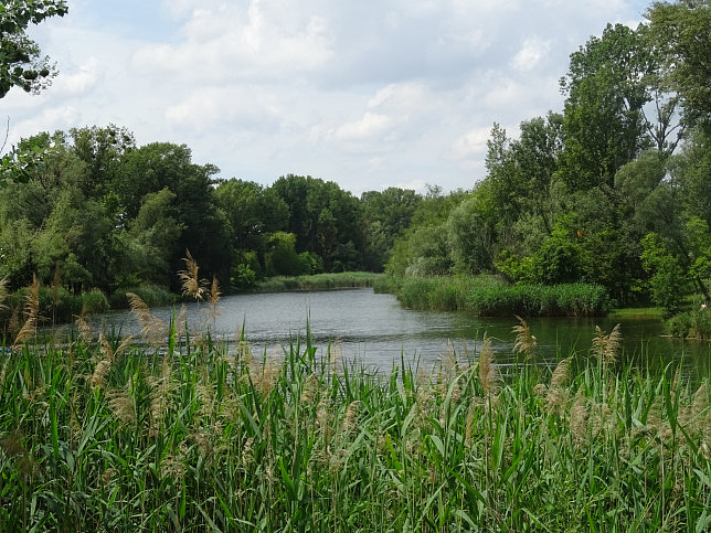 Unteres Mhlwasser