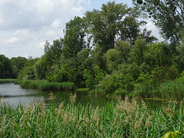 Unteres Mhlwasser