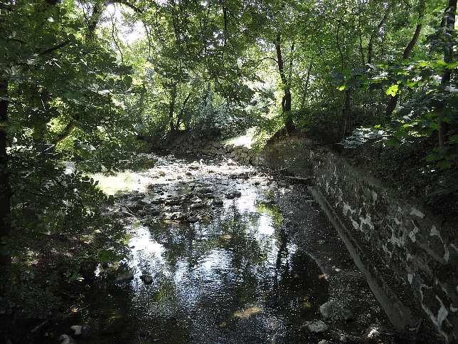 Reiche Liesing