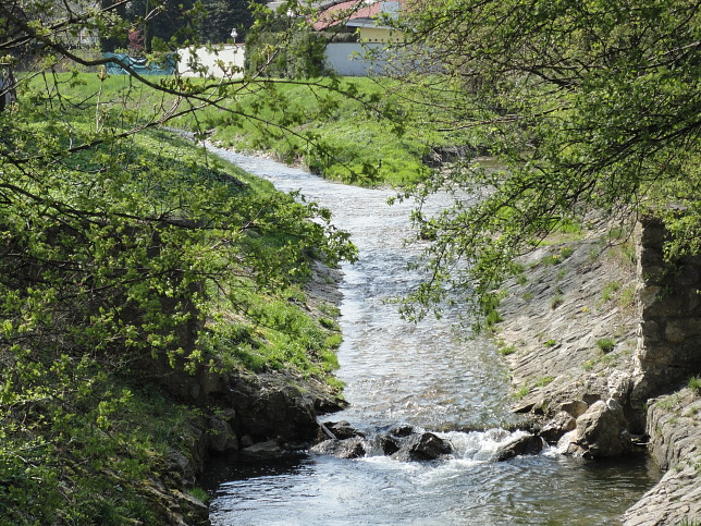 Reiche Liesing