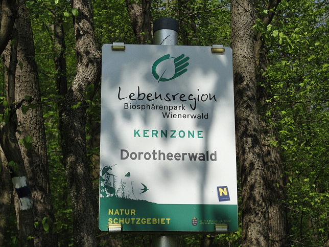Grenzgraben im Dorotheerwald