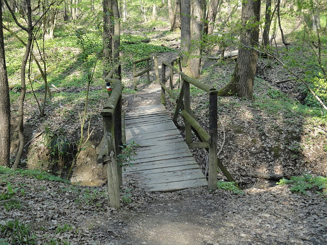 Grenzgraben im Dorotheerwald
