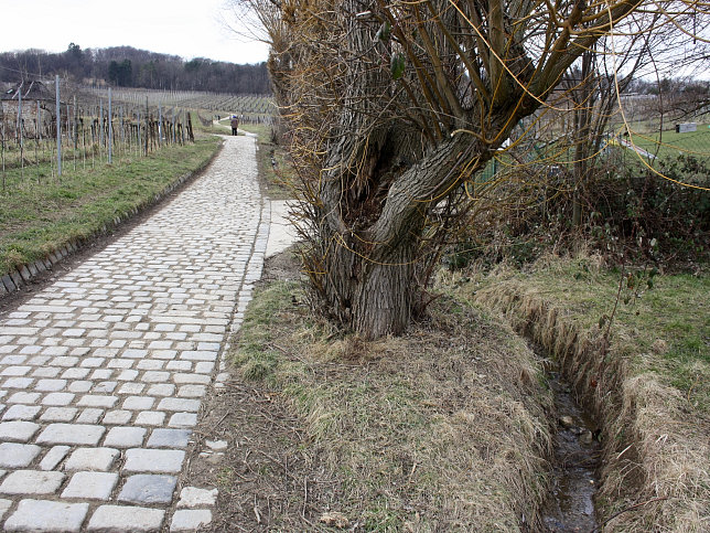 Asenbauergraben