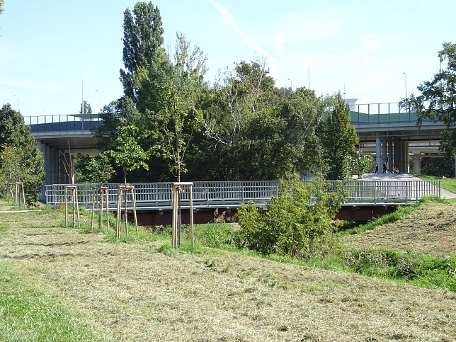 Drascheparksteg