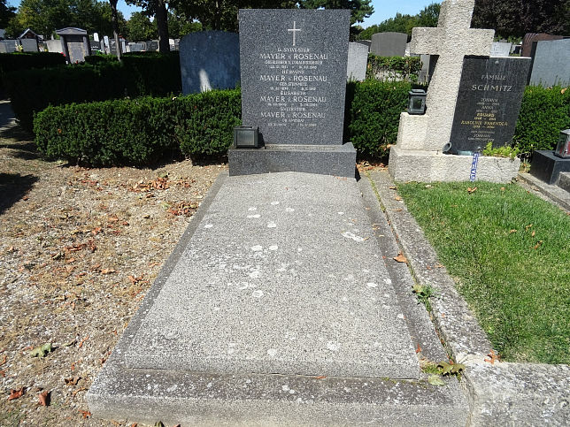David Silvester Mayer von Rosenau