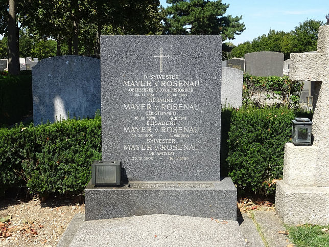 David Silvester Mayer von Rosenau