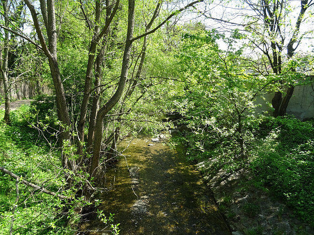 Steg Kollegium Kalksburg