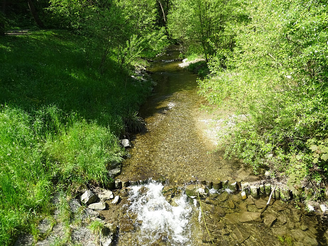 Steg Kollegium Kalksburg