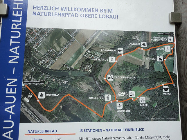 Naturlehrpfad Obere Lobau