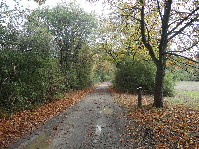 Naturlehrpfad Obere Lobau