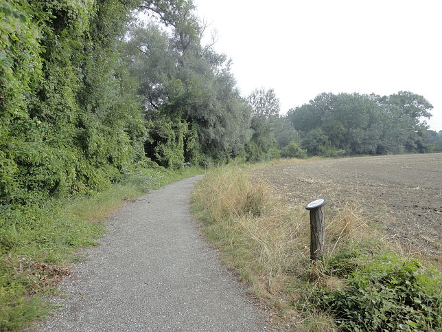 Naturlehrpfad Obere Lobau