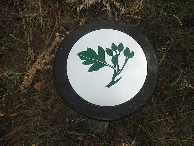 Naturlehrpfad Obere Lobau