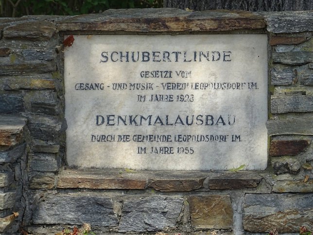 Leopoldsdorf im Marchfeld, Schubertlinde