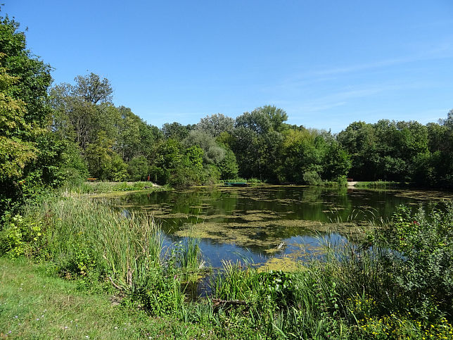 Mannswrth, Zierteich