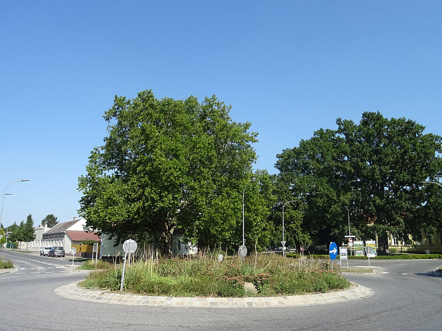 Raasdorf, Kreisverkehr