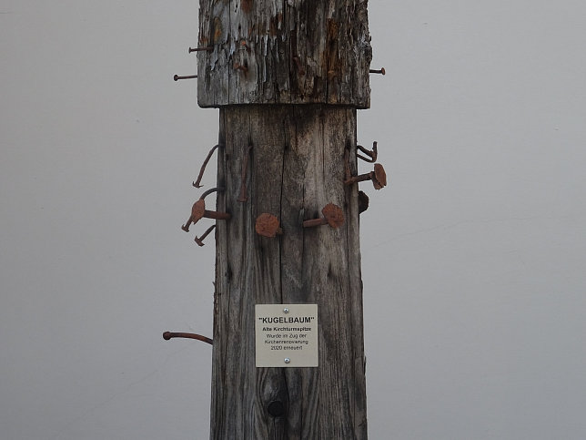 Schnau an der Donau, Kugelbaum