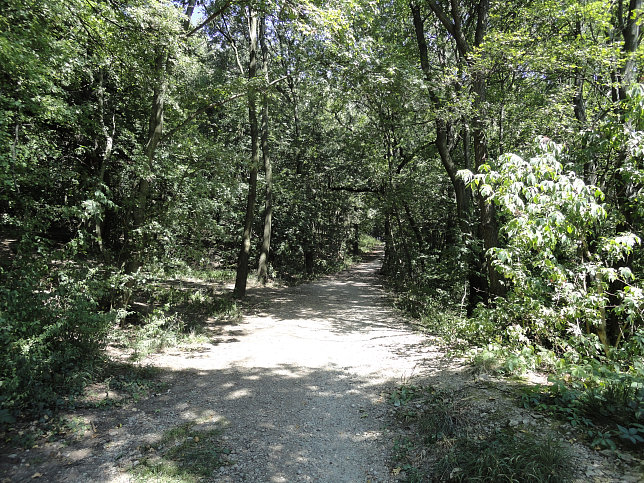 Stadtwanderweg 4