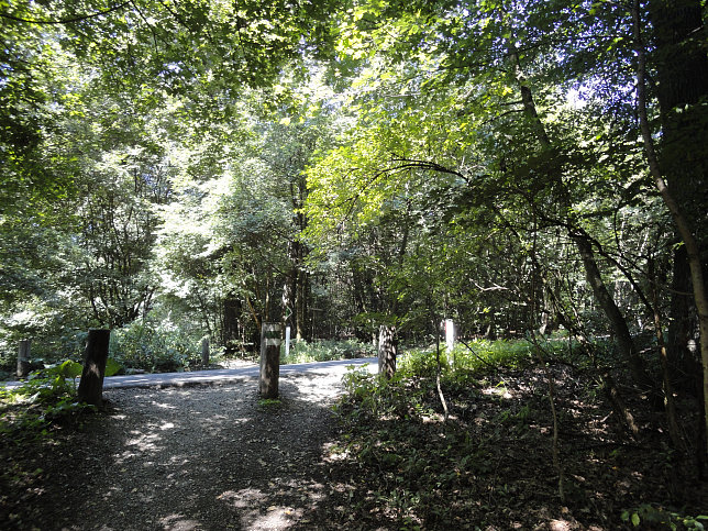 Stadtwanderweg 4