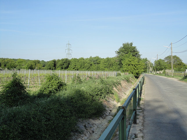 Stadtwanderweg 5