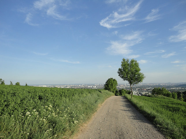 Stadtwanderweg 5