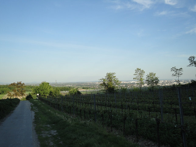 Stadtwanderweg 5