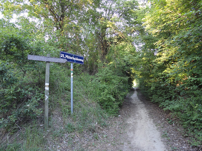 Stadtwanderweg 5