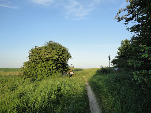 Stadtwanderweg 5