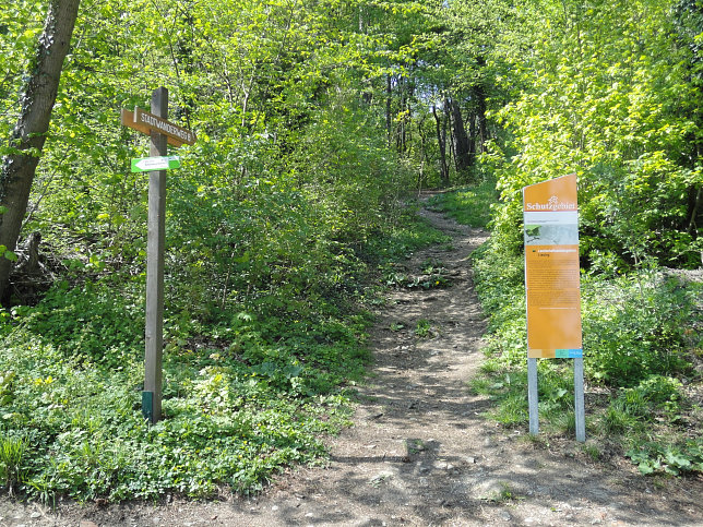 Stadtwanderweg 6