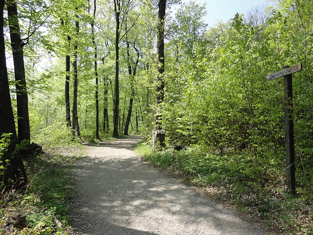 Stadtwanderweg 6