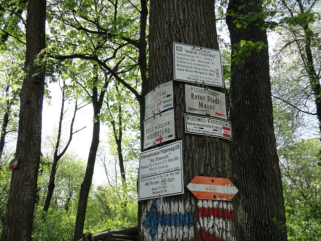 Stadtwanderweg 6