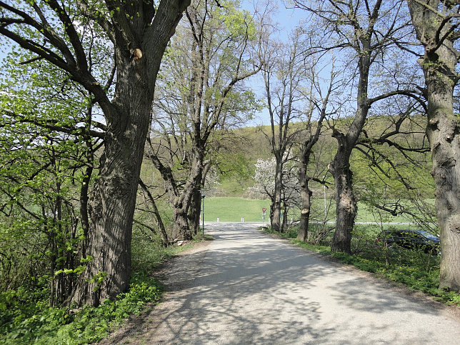 Stadtwanderweg 6