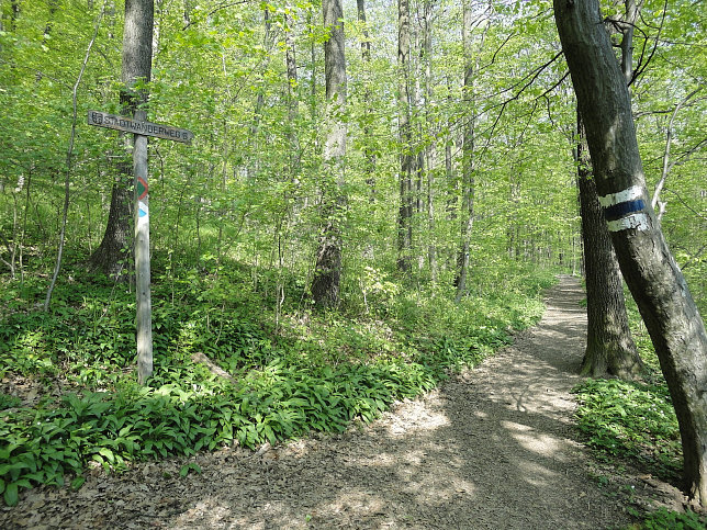 Stadtwanderweg 6