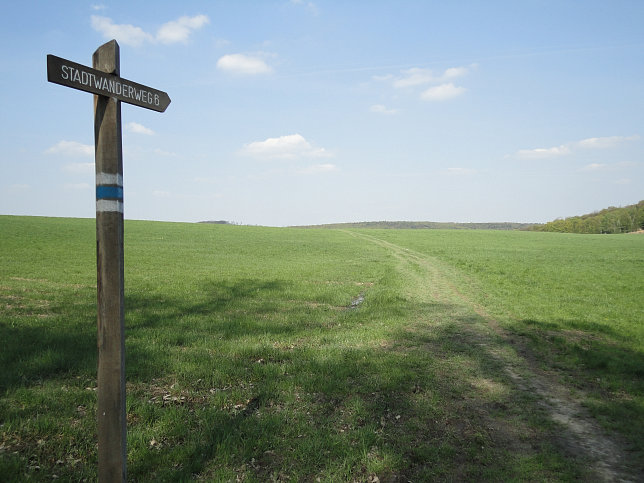 Stadtwanderweg 6