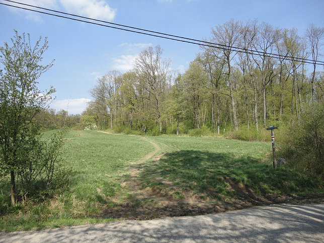 Stadtwanderweg 6