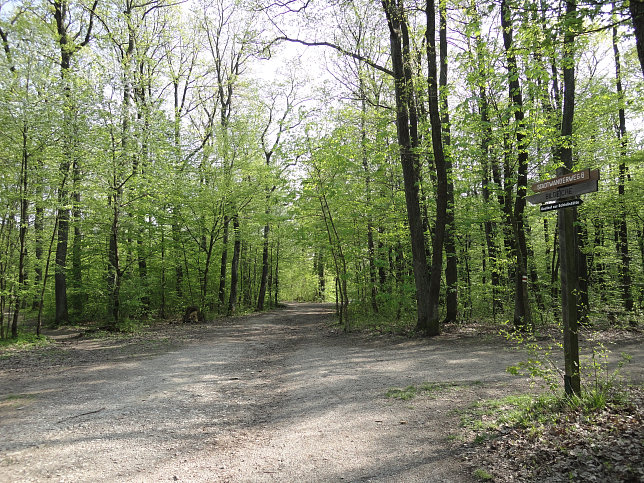Stadtwanderweg 6