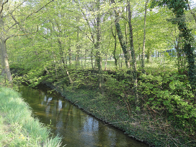 Stadtwanderweg 6