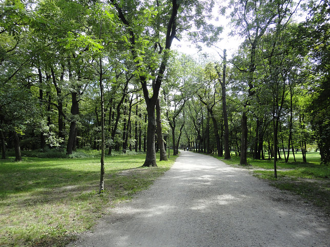 Stadtwanderweg 9