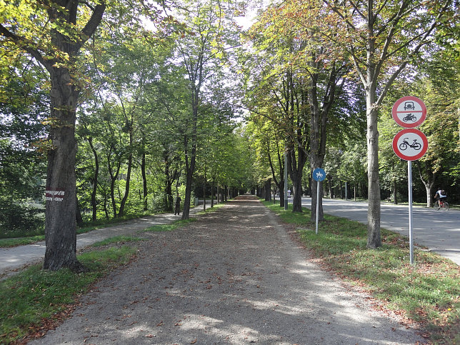 Stadtwanderweg 9